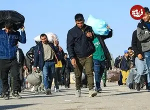 ببینید؛ استاد دانشگاه تهران: ورود افغان‌ها به ایران باعث تحمیل ۵ قومیت جدید به ایران شده است