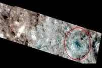 عکس| عنکبوتی غول‌پیکر در «اروپا» دیده شد