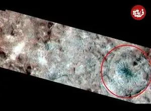 عکس| عنکبوتی غول‌پیکر در «اروپا» دیده شد