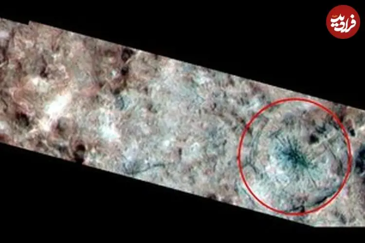 عکس| عنکبوتی غول‌پیکر در «اروپا» دیده شد