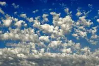 تصاویر؛ رنگ سال ۲۰۲۶ رسماً اعلام شد