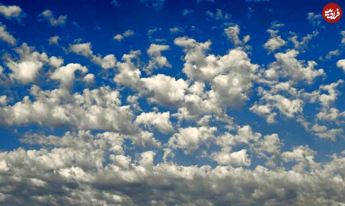 تصاویر؛ رنگ سال ۲۰۲۶ رسماً اعلام شد