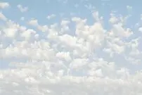 تصاویر؛ رنگ سال ۲۰۲۶ رسماً اعلام شد