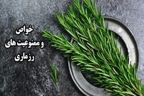ببینید؛ خواص وممنوعیت های رزماری؛ چیزهایی که درباره این گیاه نمی‌دانید 