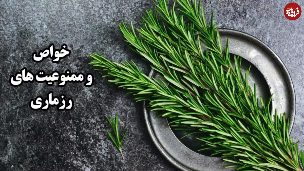 ببینید؛ خواص وممنوعیت های رزماری؛ چیزهایی که درباره این گیاه نمیدانید