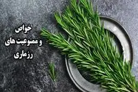 ببینید؛ خواص وممنوعیت های رزماری؛ چیزهایی که درباره این گیاه نمی‌دانید 