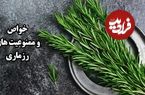 ببینید؛ خواص وممنوعیت های رزماری؛ چیزهایی که درباره این گیاه نمی‌دانید 