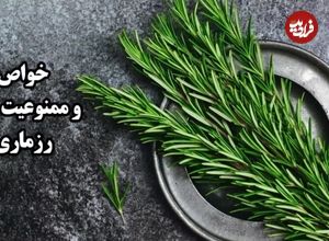 ببینید؛ خواص وممنوعیت های رزماری؛ چیزهایی که درباره این گیاه نمی‌دانید 