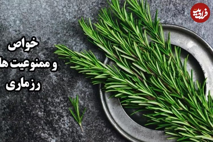 ببینید؛ خواص وممنوعیت های رزماری؛ چیزهایی که درباره این گیاه نمی‌دانید 