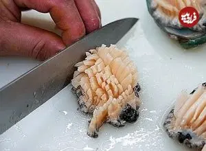 ببینید| غذای خیابانی در کره؛ تهیه یک غذای محبوب با صدف، حلزون دریایی و اختاپوس در بوسان