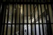 حبس یک قصاب به خاطر کشتار ۳ گوسفند!