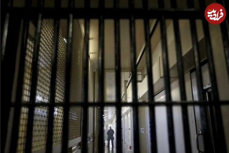 حبس یک قصاب به خاطر کشتار ۳ گوسفند!