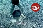 اسرار تاریکی مطلق در اعماق ۴۰۰۰ متری | تولید اکسیژن در تاریکی محض
