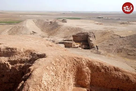 کشف قدیمی‌ترین سند کودک‌آزاری جهان در سوریه؛ نوزاد ۶ هزار ساله با دنده شکسته