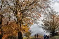 جنگل نقله بر؛ بکرترین و زیباترین جنگل گیلان برای سفر پاییزی