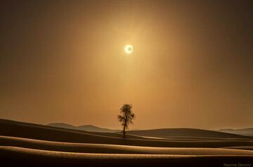 ( عکس) ناسا خورشیدگرفتگی در بیابان را شکار کرد