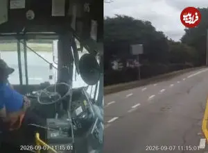 ببینید| لحظه خواب رفتن راننده اتوبوس و تصادف با درختان
