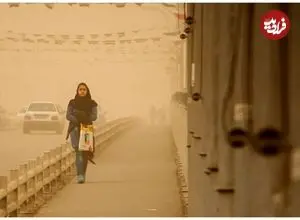 آلودگی هوا، بی‌توجهی به تجربه‌های موفق جهانی