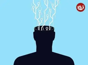 دستیابی به «مغز»، قدم بعدی رایانه‌ها!