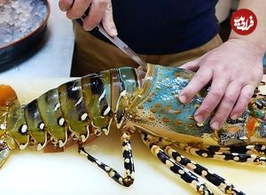 ببینید؛ غذای خیابانی در ژاپن؛ تهیه ساشیمی با لابستر رنگین کمانی غول پیکر در توکیو