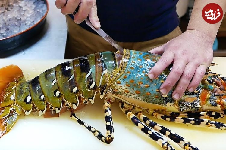 ببینید؛ غذای خیابانی در ژاپن؛ تهیه ساشیمی با لابستر رنگین کمانی غول پیکر در توکیو