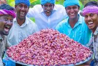 ببینید؛ غذای روستایی در هند؛ پخت یک غذای سنتی با 2000 عدد دل مرغ