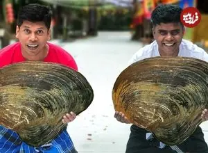 ببینید| غذای روستایی در هند؛ پخت خوراک با صدف غول پیکر و سبزیجات