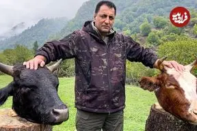 ببینید| غذای روستایی در آذربایجان؛ طبخ کله پاچه گاو در طبیعت