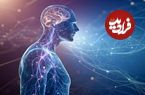 مدل تازۀ «هوش مصنوعی» که می‌تواند رفتار انسان را «پیش‌بینی» کند