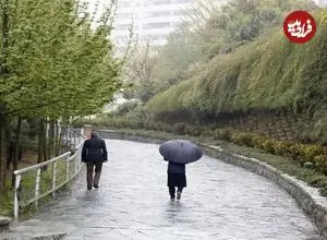 بازگشت سرمای زمستانی به این استان‌ها؛ باران شدید، صاعقه و یخبندان در راه است