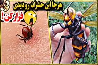(ویدئو) خطرناک ترین حشرات جهان که میلیون ها انسان رو به کام مرگ کشانده اند