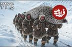 ببینید؛ شکار فک غول پیکر و تهیه غذا با آن توسط اسکیموها در سیبری
