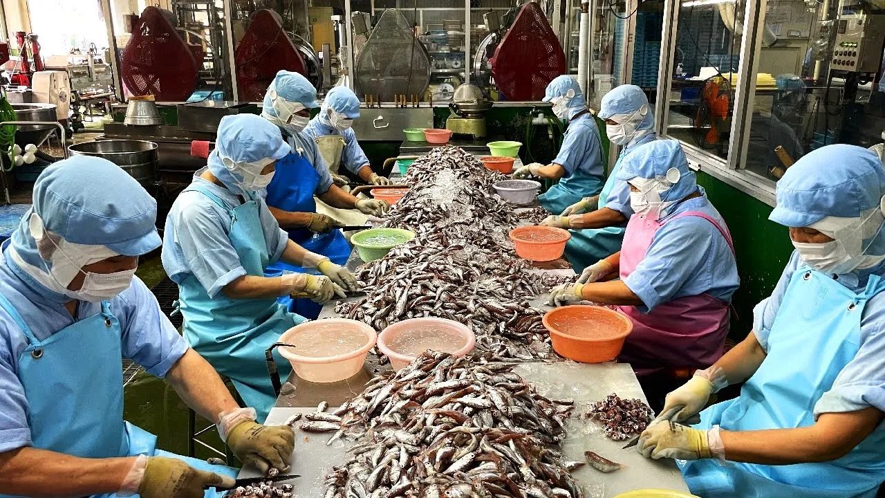 (ویدئو) فرآیند تبدیل میلیون ها ماهی کوچک به کیک در یک کارخانه مشهور ژاپنی