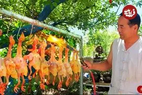 ببینید| غذای روستایی در چین؛ تهیه یه غذای سنتی با 9 کبوتر وحشی