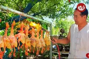 ببینید| غذای روستایی در چین؛ تهیه یه غذای سنتی با 9 کبوتر وحشی