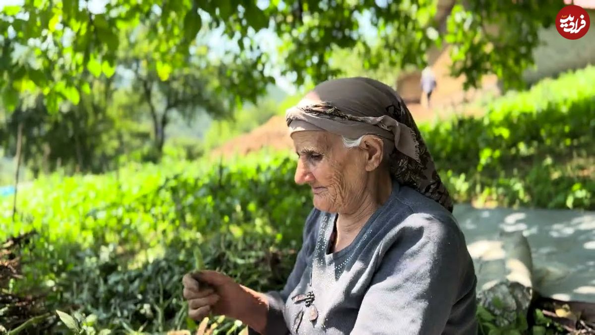 ببینید؛ غذای روستایی در ایران؛ برداشت باقالی و پخت یک غذای محلی با آن