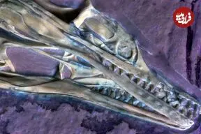 یکی از اولین پرندگان جهان که 150 میلیون سال قبل روی زمین زندگی می‌کرد