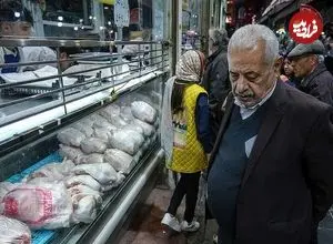 قیمت جدید مرغ در بازار