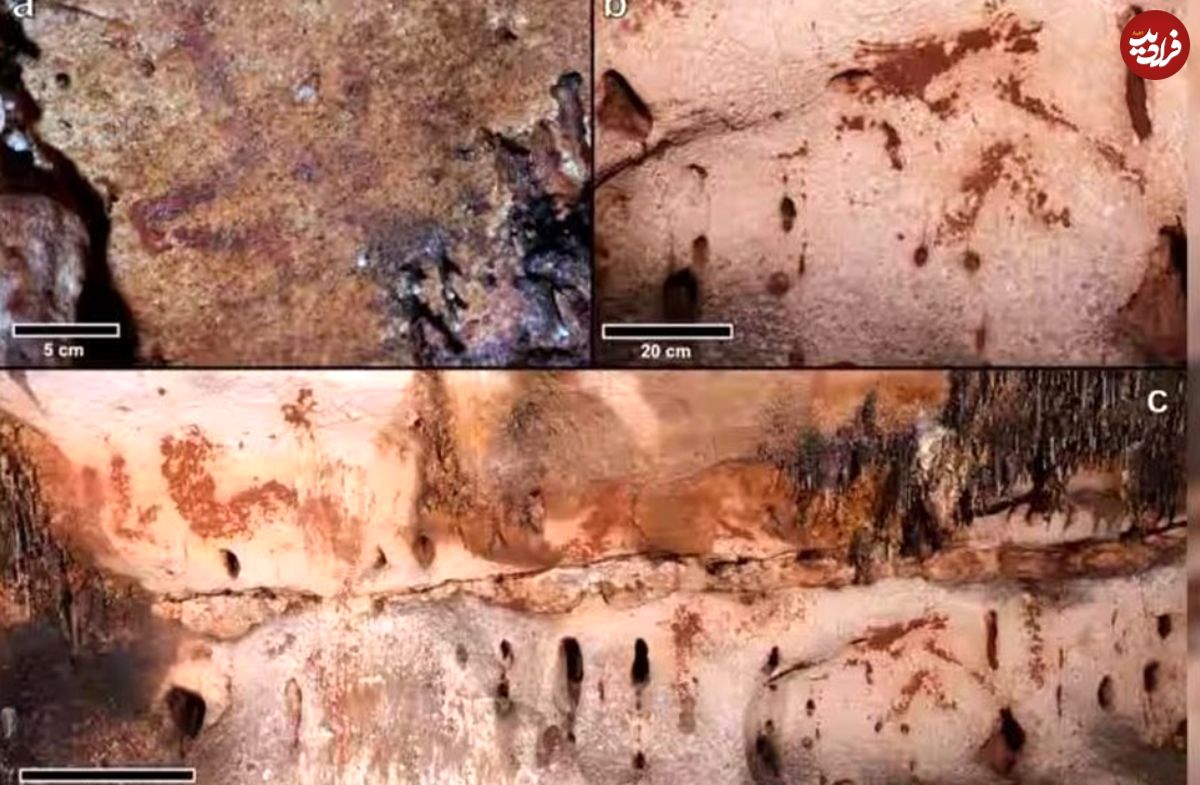 (تصاویر) کشف نقاشی‌های 24000 ساله روی دیوار غاری در اسپانیا