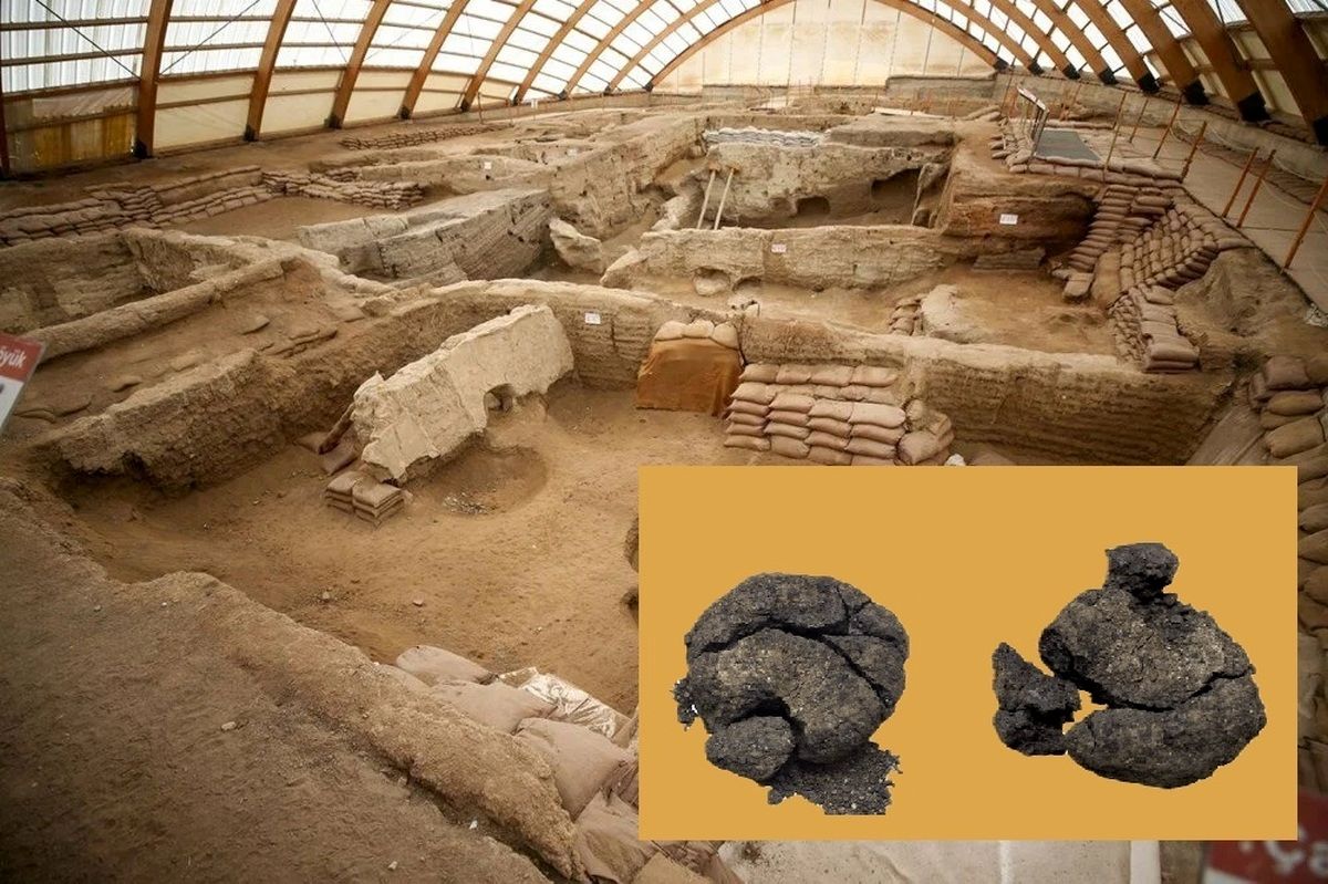 (ویدئو) قدیمی‌ترین نان جهان با قدمتی بیش از ۸۰۰۰ سال در ترکیه کشف شد