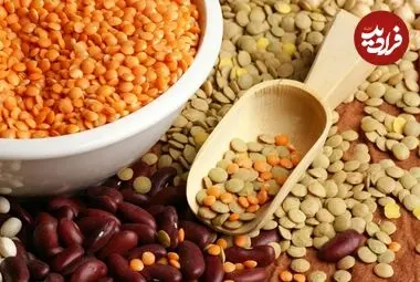 عدس در برابر لوبیا؛ کدام یک برای سلامتی بهتر است؟
