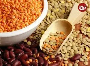 عدس در برابر لوبیا؛ کدام یک برای سلامتی بهتر است؟