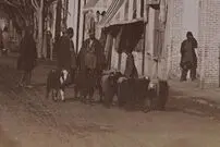 عکس| سفر زمان؛ عبور گلۀ بزها از یکی از خیابان‌های تهران در دوران قاجار