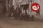 عکس| سفر زمان؛ عبور گلۀ بزها از یکی از خیابان‌های تهران در دوران قاجار