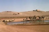 برخورد یک دنباله‌دار باعث آغاز کشاورزی شد! 