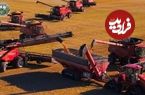 ببینید؛ مراحل کاشت، برداشت و فرآوری هزاران تن نخود در آمریکا