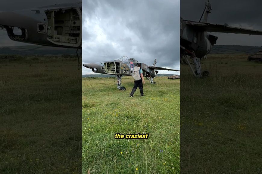 (ویدئو) یک طبیعت گرد دو جنگنده رها شده را از طریق برنامه گوگل مپ پیدا کرد!