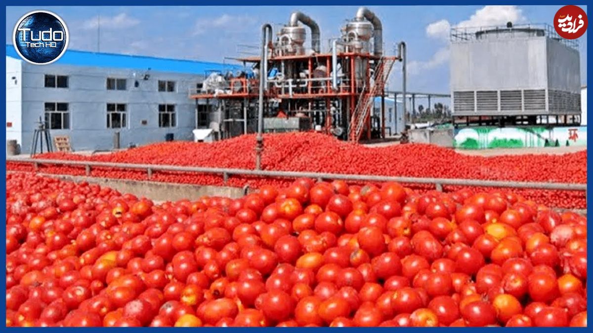 ببینید؛ سس گوجه فرنگی چگونه در کارخانه های چین تولید می شود؟
