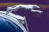 عکس| چرا مجسمه‌ها از روی کاپوت‌ ناپدید شدند؟