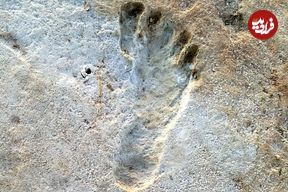 «قدیمی‌ترین ردپاهای جهان» در کجا پیدا شده‌اند؟ 